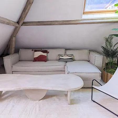 Jungle's Oasis En Plein Coeur De La Апартаменты *