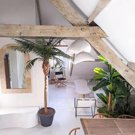 Jungle's Oasis En Plein Coeur De La Appartement