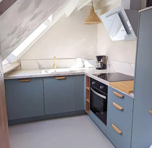 Apartment Jungle's Oasis En Plein Coeur De La Tours