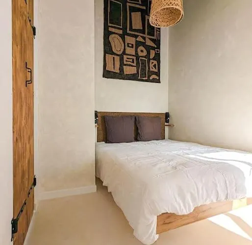 Jungle's Oasis En Plein Coeur De La Tours