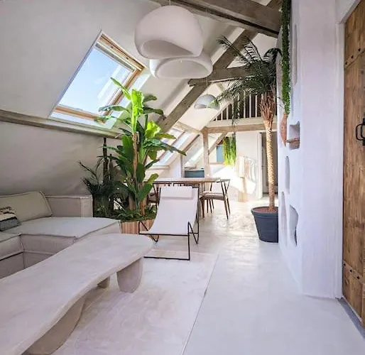 Jungle's Oasis En Plein Coeur De La * Tours