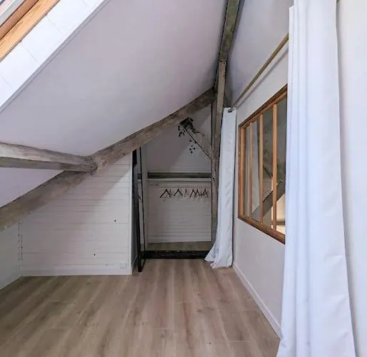 Apartment Jungle's Oasis En Plein Coeur De La *