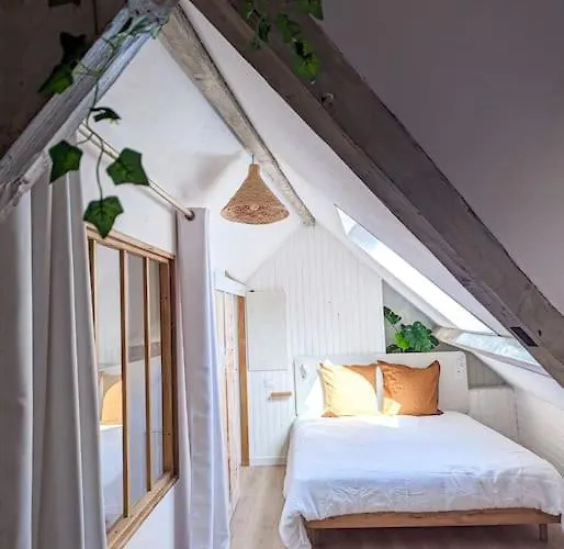 Apartment Jungle's Oasis En Plein Coeur De La